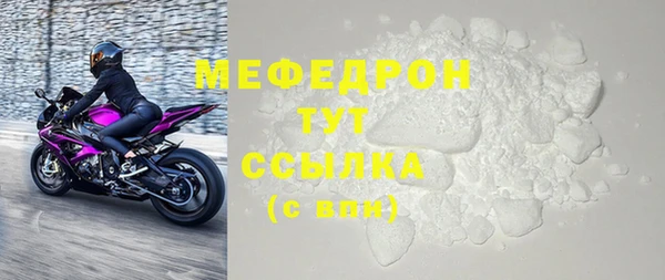 СК Ельня