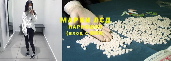 spice Елабуга