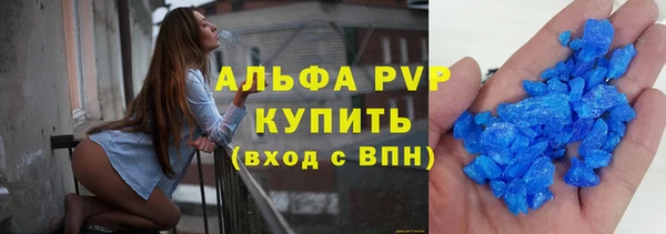 СК Ельня