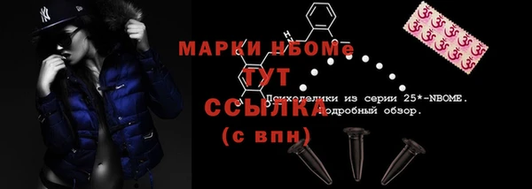 СК Ельня