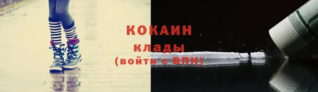 СК Ельня