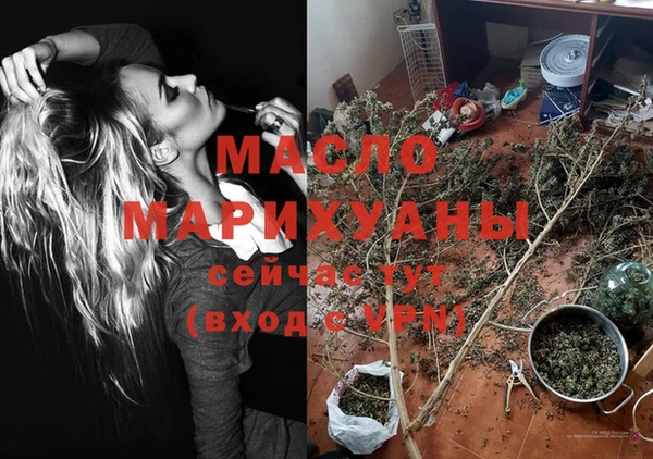 СК Ельня
