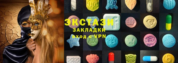 СК Ельня