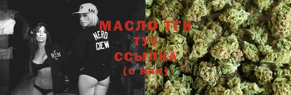 СК Ельня