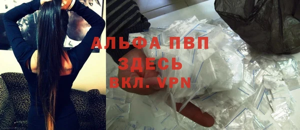 СК Ельня