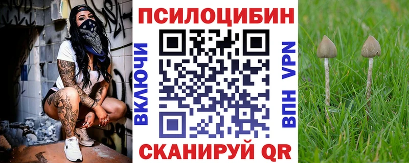 купить закладку Зверево Галлюциногенные грибы мицелий